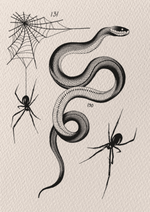 Tattoo design of a snake, two spiders and cobweb.